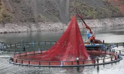 Diyarbakır'da 500 ton kapasiteli balık üretim tesisi ihracata başlayacak
