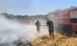 Batman'da fırtına: Tandırdan sıçrayan kıvılcımlar mısır tarlasını yaktı