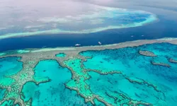 Denizlerde çöküş tehlikesi: Okyanuslarda görünmeyen kriz büyüyor