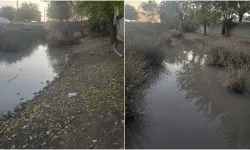 Diyarbakır'da köylüler ıslah edilmeyen dereden endişeli