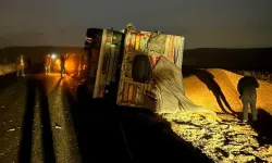 Diyarbakır'da mısır yüklü tır devrildi