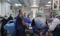 Diyarbakır’da "Uluslararası Pediatrik Girişimsel Kardiyoloji Çalıştayı" düzenlendi