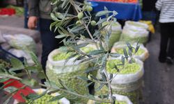 Diyarbakır'da yeşil zeytinde fiyatlar bir önceki günü aratıyor