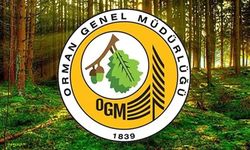 Orman Genel Müdürlüğü 496 personel alıyor: Başvurular yarın