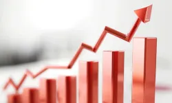 Şubat enflasyonu yüzde 31,53'e yükseldi