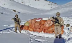 Hakkari ve Ağrı’da uyuşturucu operasyonu