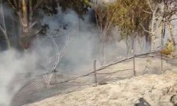 Hatay’da ağaçlık alanda yangın söndürüldü