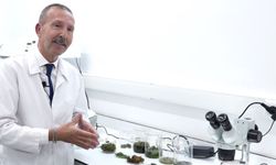 İnsanlığın geleceğine tardigratlar mı ilham olacak?