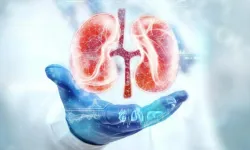 Kronik böbrek hastalığı hızla yayılıyor: Etkisi ölümcül