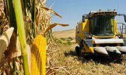 Diyarbakır'daki çifçileri yakından ingilendiriyor: Yeni düzenleme geldi