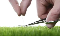 Mükemmeliyetçilik ve kusursuzluk ertelemeyi besliyor