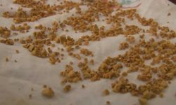 Safra kesesi hastalıklarında erken teşhis tedaviyi kolaylaştırıyor