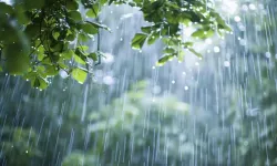 Sıcaklıklar hafta sonunda düşecek