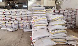 Siirt’te çiftçilere 203 ton kırmızı mercimek tohumu dağıtıldı