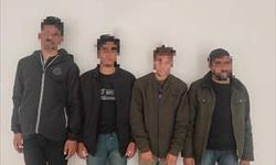 Siirt’te sahte pasaportla 4 düzensiz göçmen yakalandı