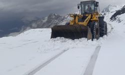 Şırnak'a yılın ilk karı düştü