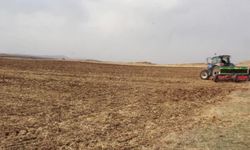 Sivas'ta geliştirilen buğday tohumları toprakla buluşturuldu