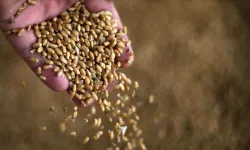Diyarbakırlı çiftçileri de yakından ilgilendiriyor! İhracata izin verilecek