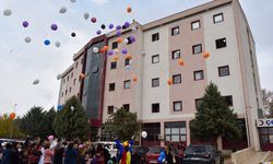 Diyarbakır'da hastanedeki miniklere moral etkinliği