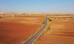 Çiftçilere kuraklığa dayanıklı tohum önerisi