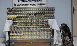Diyarbakır'da 52 şüpheli hakkında işlem yapıldı