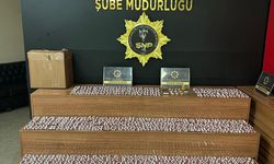 Şanlıurfa'da narkotik operasyonu: 3 şüpheli gözaltına alındı