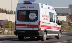 Akçakale’de arazi tartışması kanlı bitti: 3 yaralı