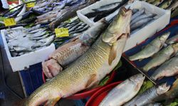 Batman’da 67 kiloluk dev turna balığı görenleri şaşırttı