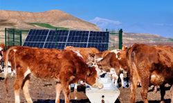 Batman'da atıl su kuyuları yeniden işlevsel hale getirildi