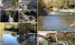 Çermik'teki Sinek Çayı çevreye hastalık yayıyor