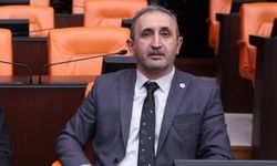 Demir’den şap hastalığıyla ilgili Yumaklı’ya soru önergesi