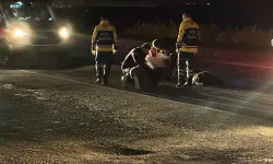 Diyarbakır-Bismil yolunda kaza: Ölen kişinin ismi belli oldu