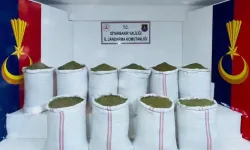 Diyarbakır, Van, Şanlıurfa... 345 gözaltı