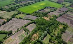 Diyarbakır'da arazi toplulaştırma askı süreci başladı