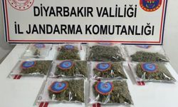 Diyarbakır'da jandarma 25 kilo esrar ele geçirdi