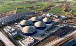 Elazığ’a Besi Organize Tarım Bölgesi kuruluyor