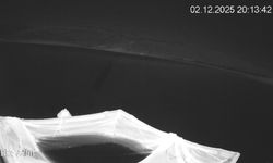 Elazığ'da nesli tehlike altındaki su samuru görüntülendi