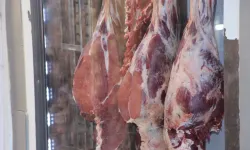 Et yemeyen çocuklara ne olur? Bilim açıkladı