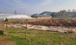 DERİM modeli Diyarbakır’da pilot uygulamayla başladı