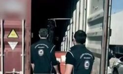 Gaziantep'te operasyon: 37 düzensiz göçmen yakalandı