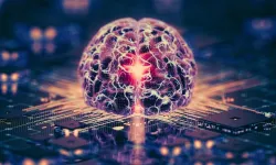 Gerçek insan beyninden yapılmış bilgisayarlar: Yeni dönem başlıyor