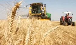 Güneydoğu’da hububat ihracatı 3,2 milyar dolara ulaştı