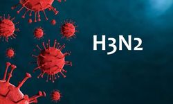 H3N2 virüsü nedir?