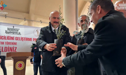 Hasankeyf’te 5 bin zeytin fidanı çiftçilere teslim edildi