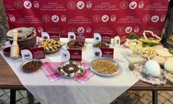 Hatay’da coğrafi işaret tescili alan 7 ürün tanıtıldı