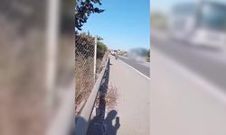 Hatay’da ehliyetsiz sürücüye rekor ceza