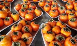 Cennet hurmasının faydaları nelerdir?