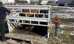 Kazalara sebep oluyordu; çözüm bulundu