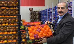 Mandalina ihracatı rekor kırdı