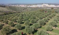 Muhtarın girişimi mahalleye iş kapısı oldu: 50 kişilik istihdam